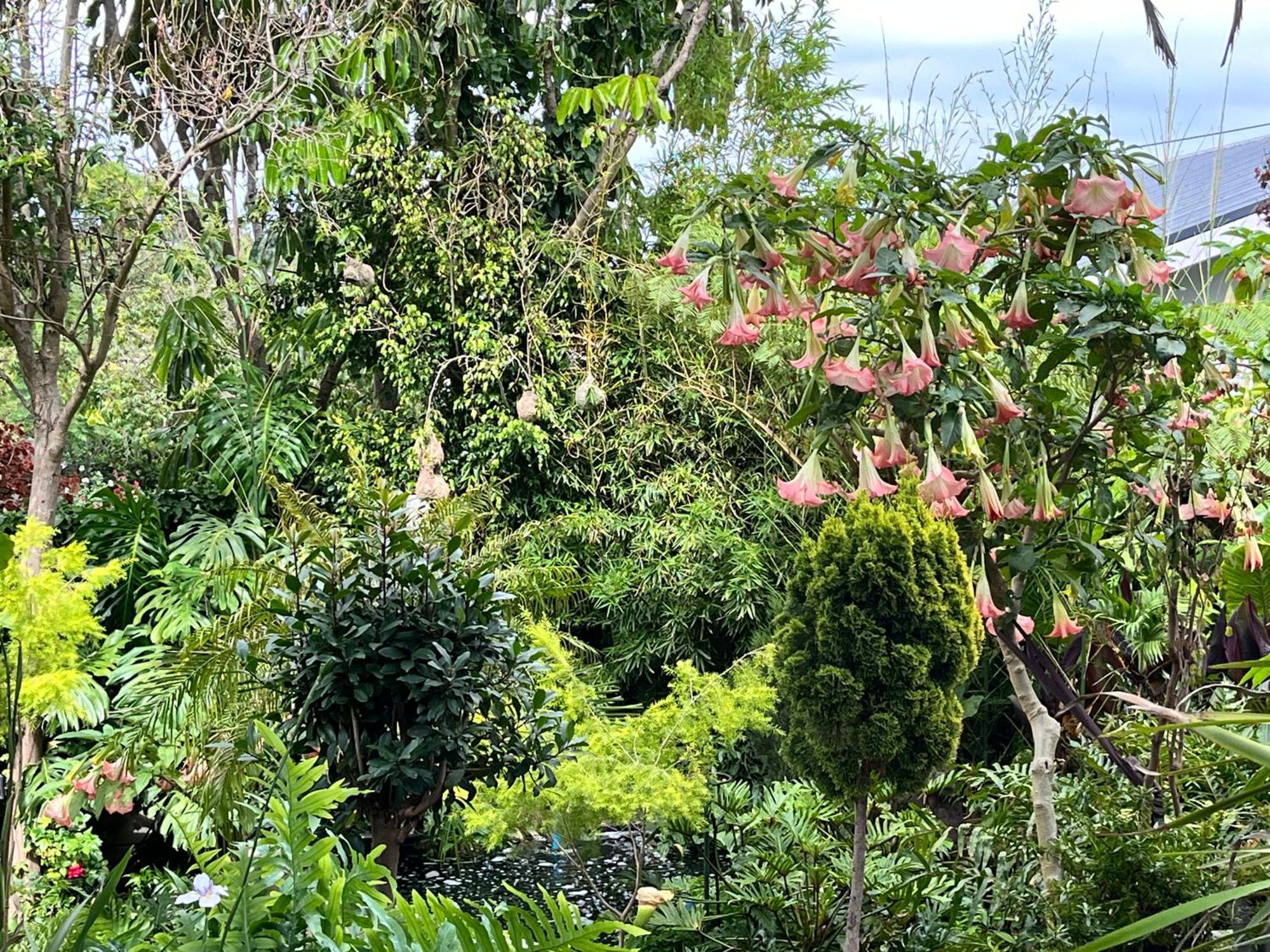 Somerset West Garden Apartments 1 外观 照片