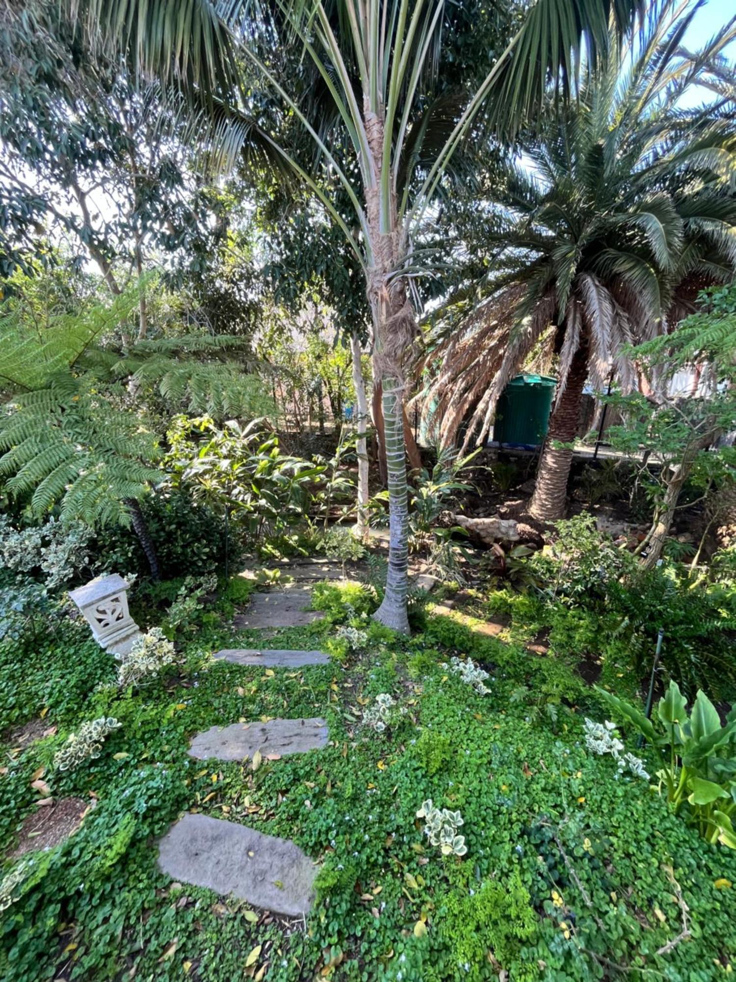 Somerset West Garden Apartments 1 外观 照片