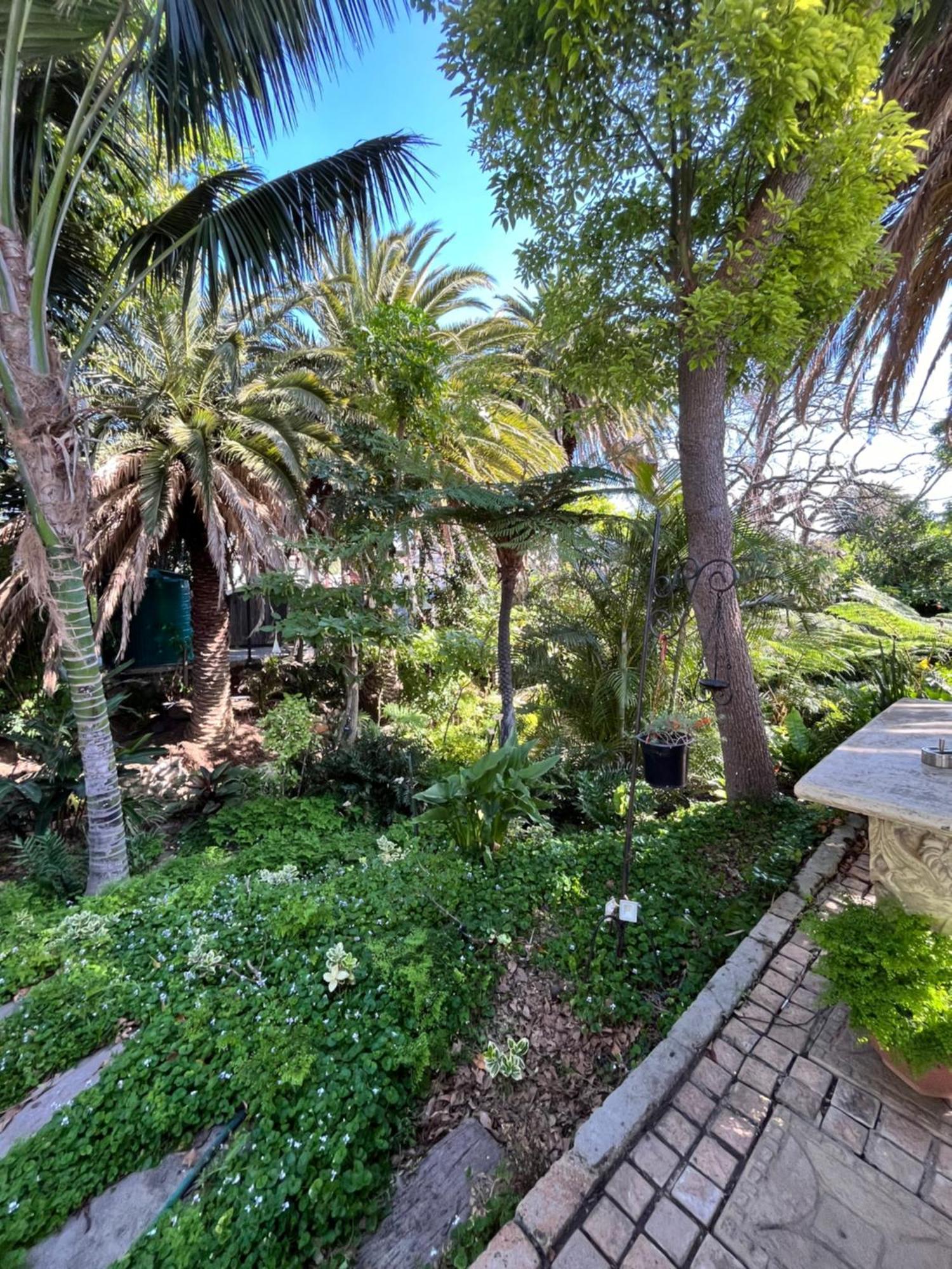 Somerset West Garden Apartments 1 外观 照片